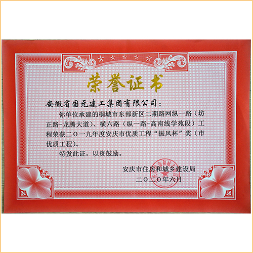 2019桐城市東部新區(qū)二期路網(wǎng)縱一路（坊正路-龍騰大道）、橫六路（縱一路-高南線學(xué)苑段）振風(fēng)杯 